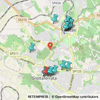 Mappa Via dell'Alberata, 00046 Grottaferrata RM, Italia (1.187)