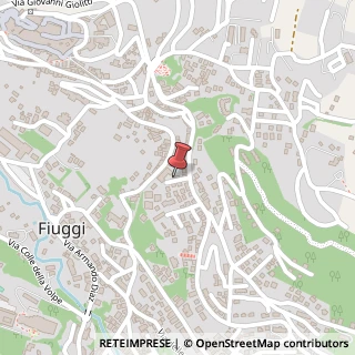 Mappa Via Armando Diaz, 33, 03014 Fiuggi, Frosinone (Lazio)