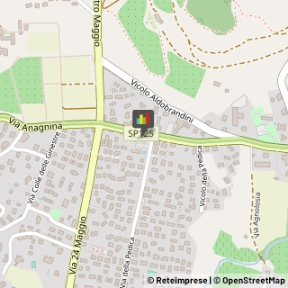 Fisiokinesiterapia - Medici Specialisti Grottaferrata,00046Roma