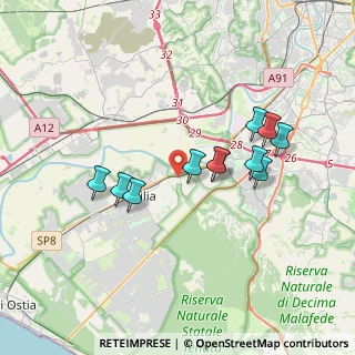 Mappa Via Vincenzo Borghini, 00125 Roma RM, Italia (3.38727)