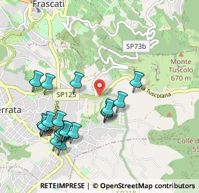 Mappa SS 215, 00046 Grottaferrata RM, Italia (1.1)