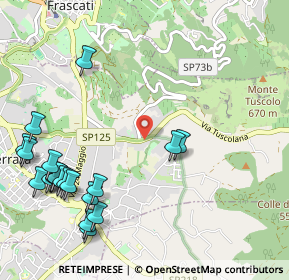 Mappa SS 215, 00046 Grottaferrata RM, Italia (1.4405)