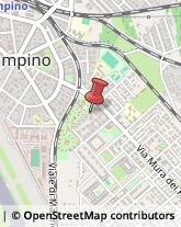 Via Mura dei Francesi, 195,00043Ciampino