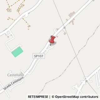 Mappa Via Castellano, 2996, 63811 Sant'Elpidio a Mare, Fermo (Marche)