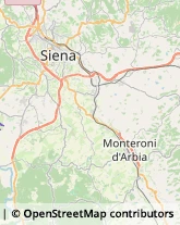 Agenti e Rappresentanti di Commercio Siena,53100Siena