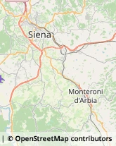 Agenti e Rappresentanti di Commercio Siena,53018Siena