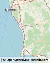 Macellerie Rosignano Marittimo,57018Livorno