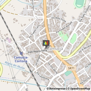 Corrieri Cortona,52044Arezzo