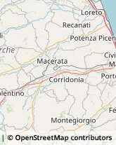 Veterinaria - Ambulatori e Laboratori Macerata,62100Macerata