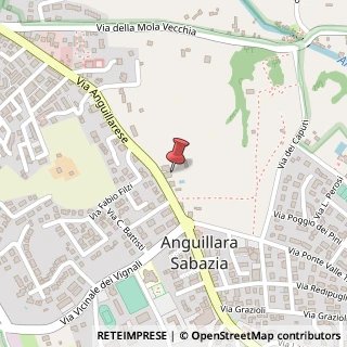Mappa Via Anguillarese, 35, 00061 Anguillara Sabazia, Roma (Lazio)