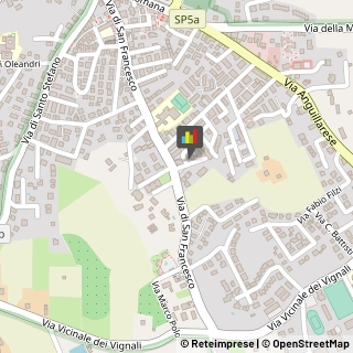 Palestre e Centri Fitness,00061Roma
