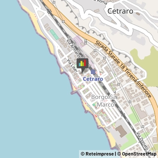 Animali Domestici - Vendita Cetraro,87022Cosenza