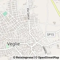 Kort Veglie