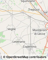 Ortofrutticoltura Monteroni di Lecce,73047Lecce