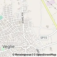 Kort Veglie