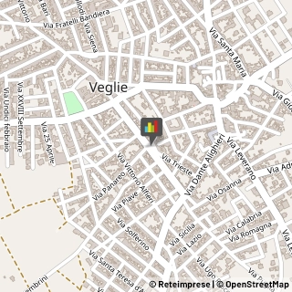 Smaltimento e Trattamento Rifiuti - Servizio Veglie,73010Lecce