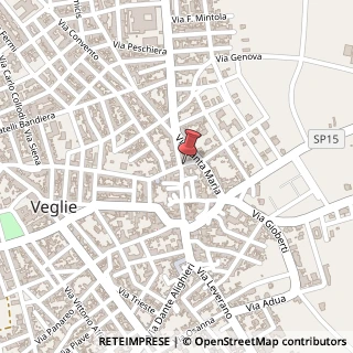 Mappa Via San Biagio, 52, 73010 Veglie, Lecce (Puglia)
