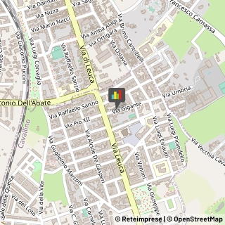 Onoranze e Pompe Funebri Cavallino,73020Lecce