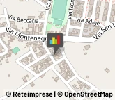 Giardinaggio - Servizio,73023Lecce