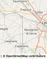 Rosticcerie e Salumerie Monteroni di Lecce,73047Lecce