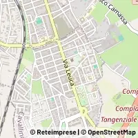Carte Cavallino