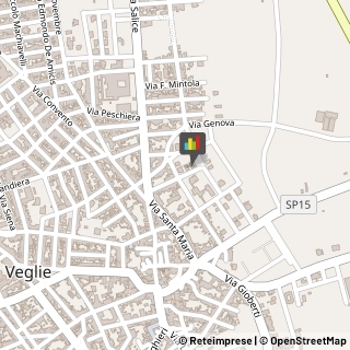 Palestre e Centri Fitness,73010Lecce