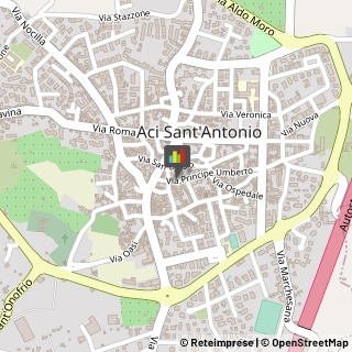 Studi Tecnici ed Industriali Aci Sant'Antonio,95025Catania