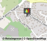 Riproduzione Disegni - Servizio Trecastagni,95039Catania