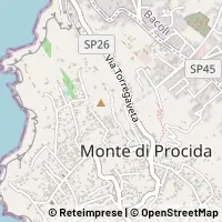 Map Monte di Procida
