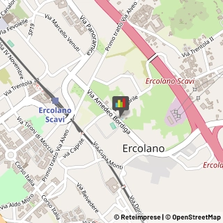 Alimentari Ercolano,80056Napoli