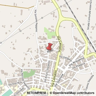 Mappa Via de sanctis f. 19, 70029 Santeramo in Colle, Bari (Puglia)