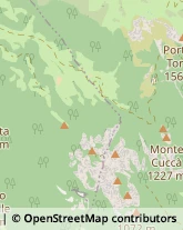 Audiovisivi Filmati e Spot - Realizzazione e Duplicazione Rovereto,38068Trento