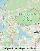 Fisiokinesiterapia - Medici Specialisti Comerio,21025Varese