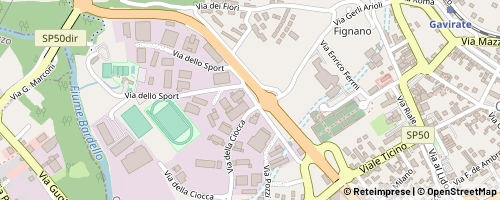 Mappa Gavirate