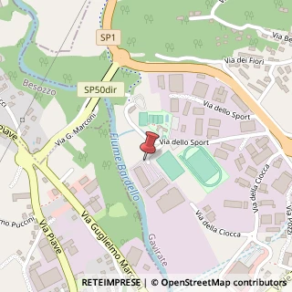 Mappa Viale dello Sport, 31, 21026 Gavirate, Varese (Lombardia)