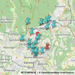 Mappa Via Cappelletta, 21056 Induno Olona VA, Italia (1.629)