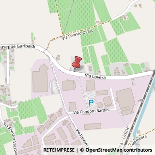 Mappa Via Lovera, 10/E, 31025 Santa Lucia di Piave, Treviso (Veneto)