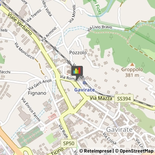 Conserve Gavirate,21026Varese