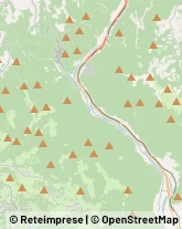 Autotrasporti San Nazario,36020Vicenza