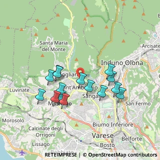 Mappa Via del Casluncio, 21100 Varese VA, Italia (1.63133)