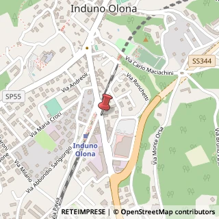 Mappa Via Bruno Jamoretti, 1, 21056 Induno Olona, Varese (Lombardia)