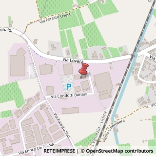 Mappa Via Foresto Ovest, 11, 31025 Santa Lucia di Piave, Treviso (Veneto)