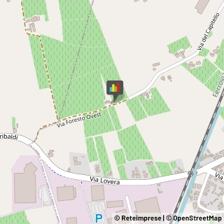 ,31025Treviso