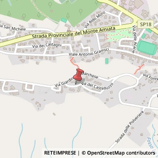 Mappa Via del Castelluzzo, 339B, 53025 Piancastagnaio, Siena (Toscana)