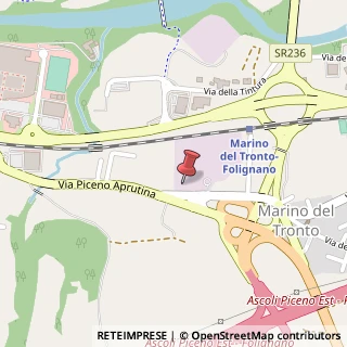 Mappa Viale Piceno Aprutino, 114, 63100 Ascoli Piceno, Ascoli Piceno (Marche)