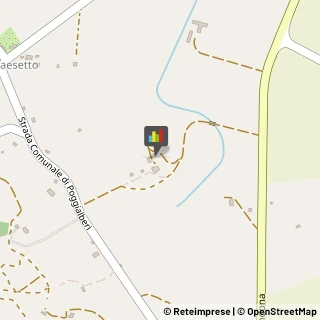 Aziende Agricole,58043Grosseto