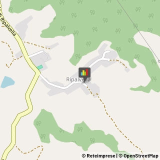 Lavori Agricoli e Forestali San Venanzo,05010Terni