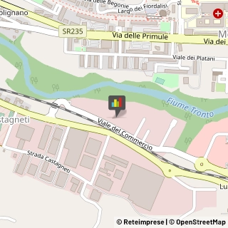 Pelletterie - Ingrosso e Produzione,63100Ascoli Piceno