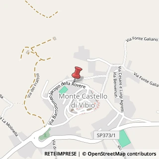 Mappa Via Bartolomeo Jacopo della Rovere, 10, 06057 Monte Castello di Vibio, Perugia (Umbria)