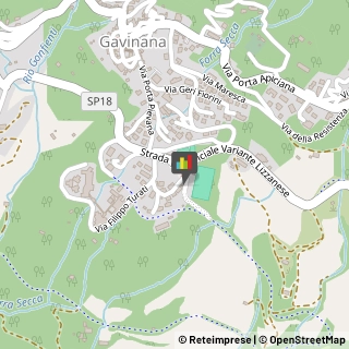 Associazioni e Federazioni Sportive,51028Pistoia